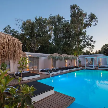 Bamboo 4* Ialysos (Rhodes)